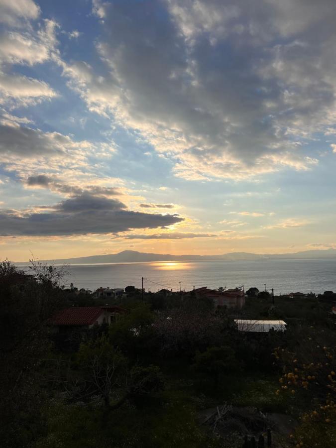 Panorama Studio Kalamáta Kültér fotó