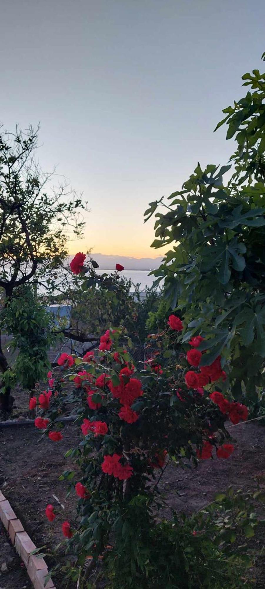 Panorama Studio Kalamáta Kültér fotó